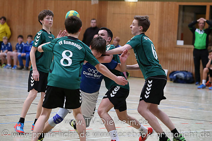 HB Diele-Bammental 0156