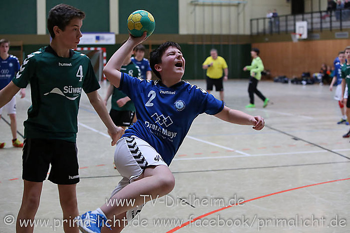 HB Diele-Bammental 0193